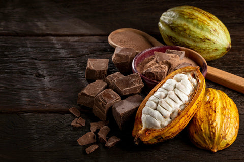 Delicious Journey Through the Origins of Chocolate - Kakaw