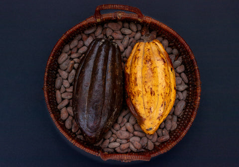 cacao_beans_in_a_basket