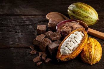 Delicious Journey Through the Origins of Chocolate - Kakaw