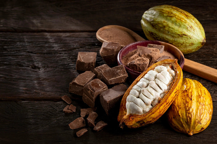 Delicious Journey Through the Origins of Chocolate - Kakaw